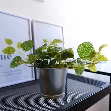 10 Minuti Centro Citta Διαμέρισμα *