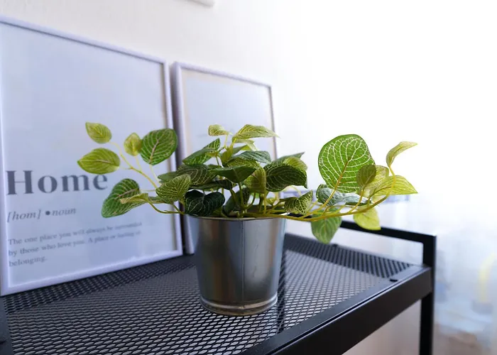 10 Minuti Centro Citta Апартаменты *